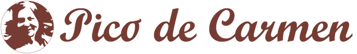 Logo PicoDeCarmen